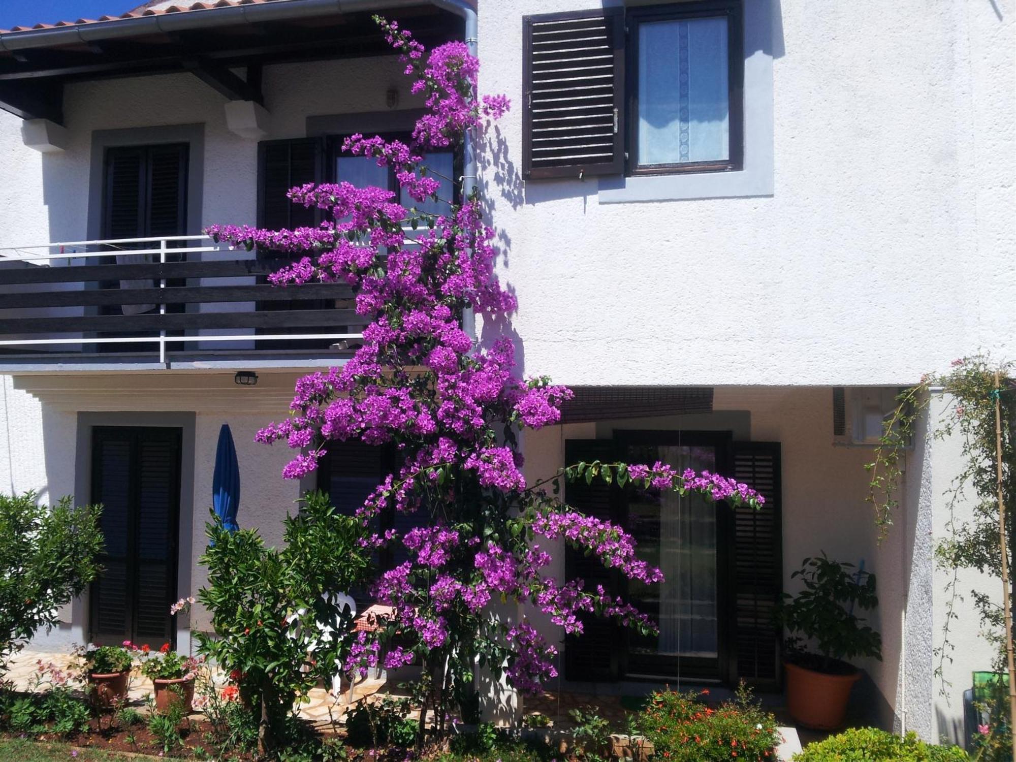 Apartments Barac Poreč Exterior foto